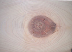 original-hinoki-img02.jpg